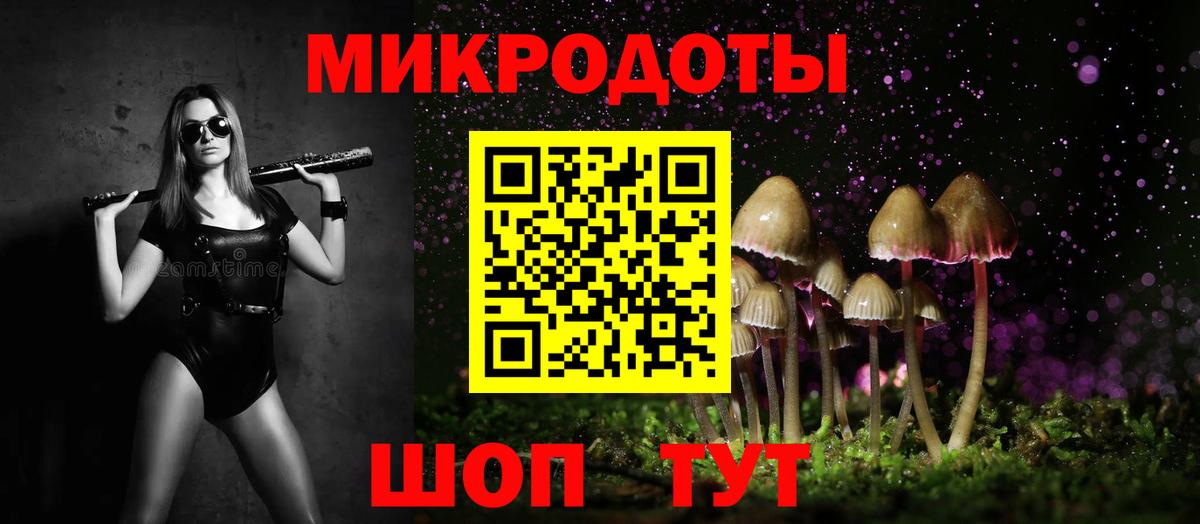 Галлюциногенные грибы Psilocybine cubensis Асино